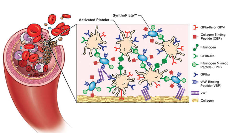 1653378361843607.png 3.png